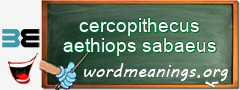 WordMeaning blackboard for cercopithecus aethiops sabaeus